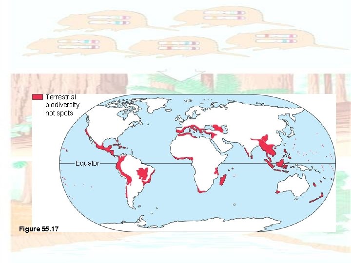 Terrestrial biodiversity hot spots Equator Figure 55. 17 