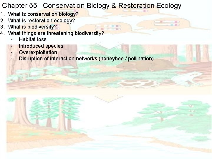 Chapter 55: Conservation Biology & Restoration Ecology 1. 2. 3. 4. What is conservation