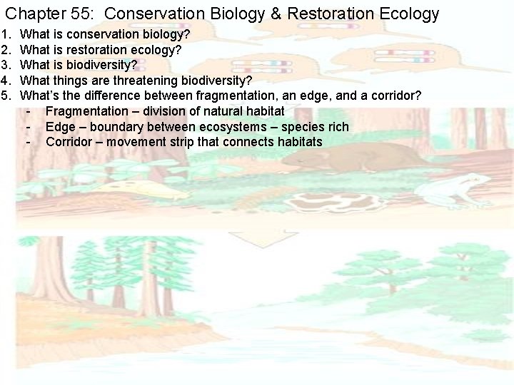 Chapter 55: Conservation Biology & Restoration Ecology 1. 2. 3. 4. 5. What is