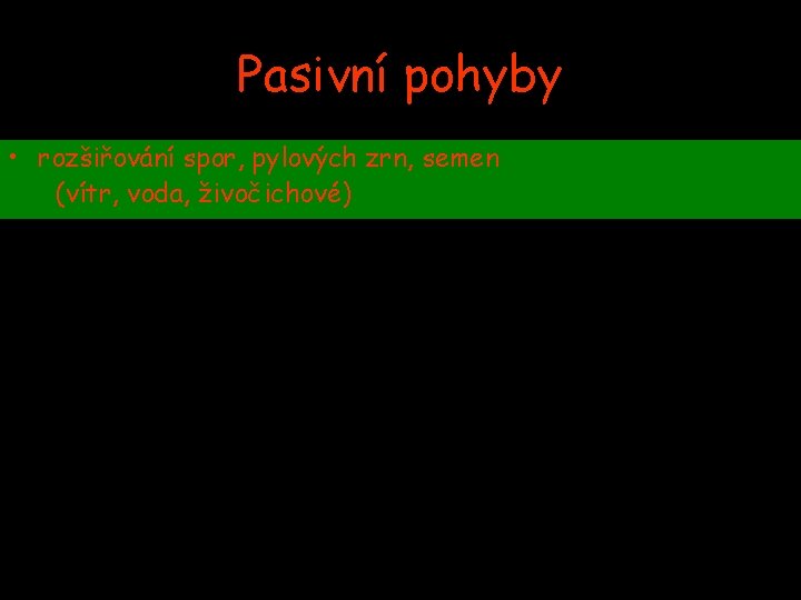 Pasivní pohyby • rozšiřování spor, pylových zrn, semen (vítr, voda, živočichové) 