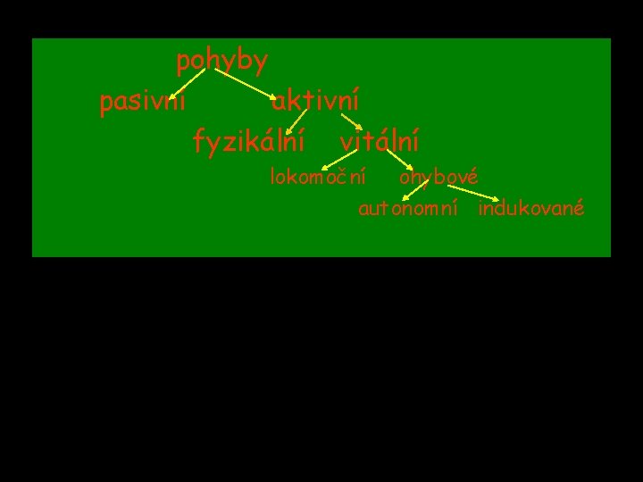 pohyby pasivní aktivní fyzikální vitální lokomoční ohybové autonomní indukované 