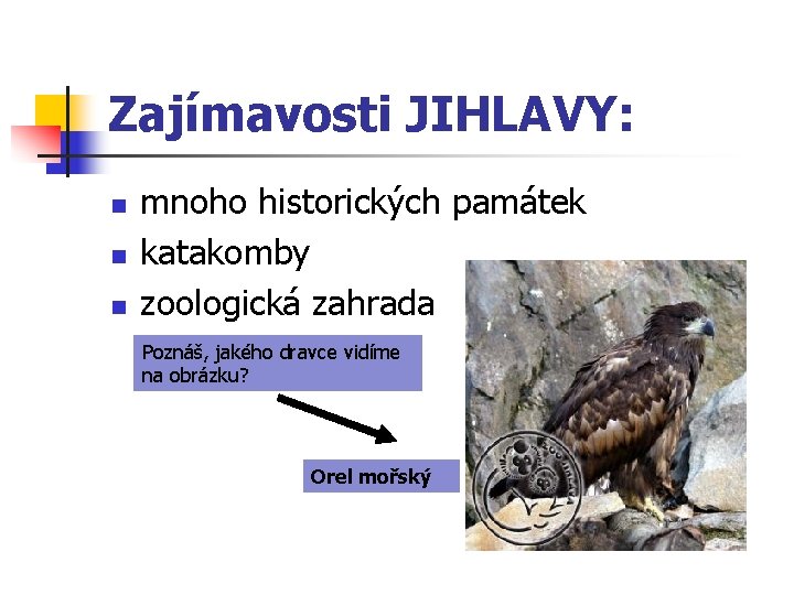 Zajímavosti JIHLAVY: n n n mnoho historických památek katakomby zoologická zahrada Poznáš, jakého dravce