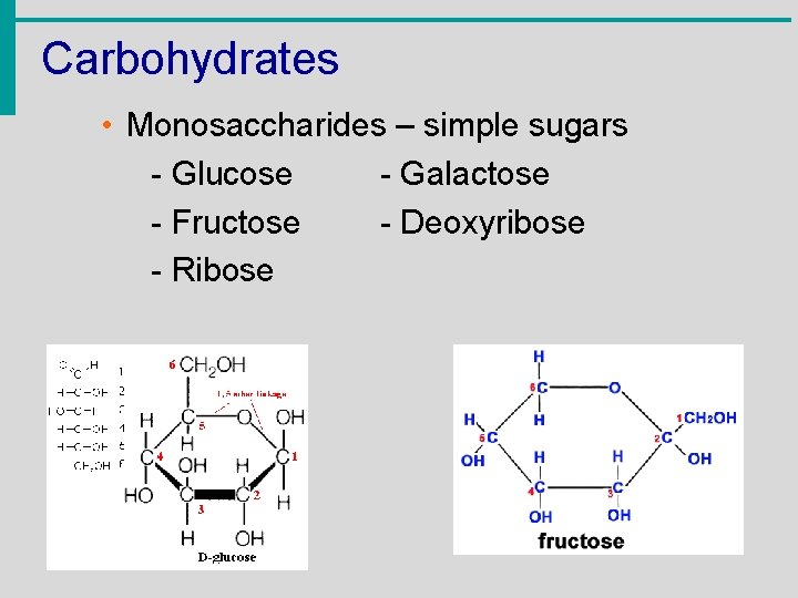 Carbohydrates • Monosaccharides – simple sugars - Glucose - Galactose - Fructose - Deoxyribose