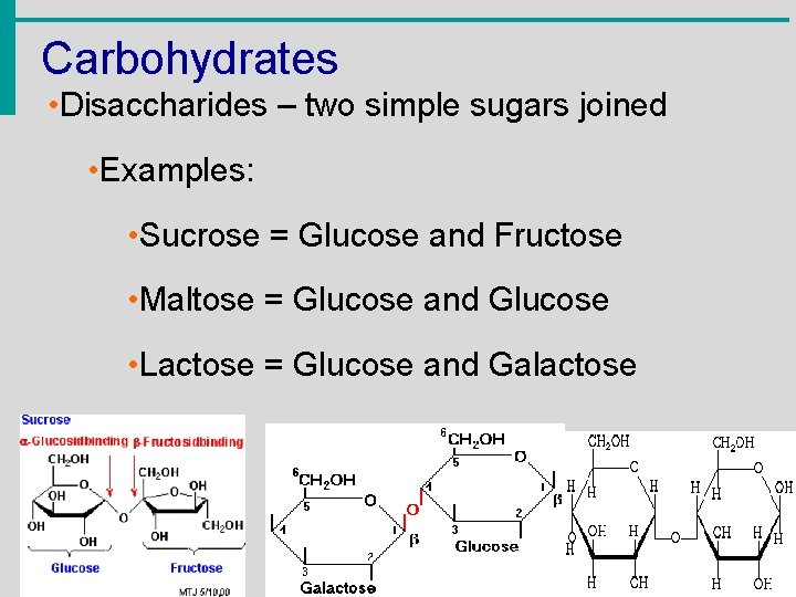 Carbohydrates • Disaccharides – two simple sugars joined • Examples: • Sucrose = Glucose