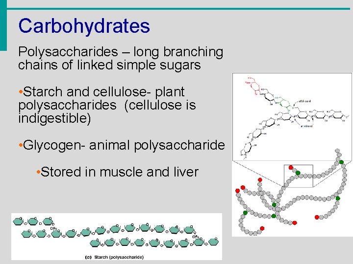Carbohydrates Polysaccharides – long branching chains of linked simple sugars • Starch and cellulose-