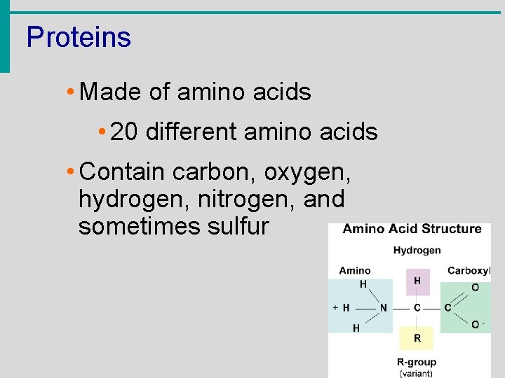Proteins • Made of amino acids • 20 different amino acids • Contain carbon,