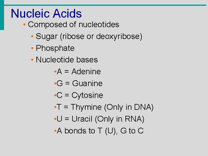 Nucleic Acids • Composed of nucleotides • Sugar (ribose or deoxyribose) • Phosphate •