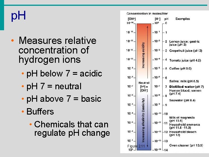p. H • Measures relative concentration of hydrogen ions • p. H below 7