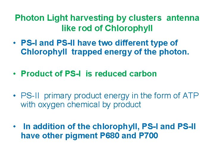 Photon Light harvesting by clusters antenna like rod of Chlorophyll • PS-I and PS-II