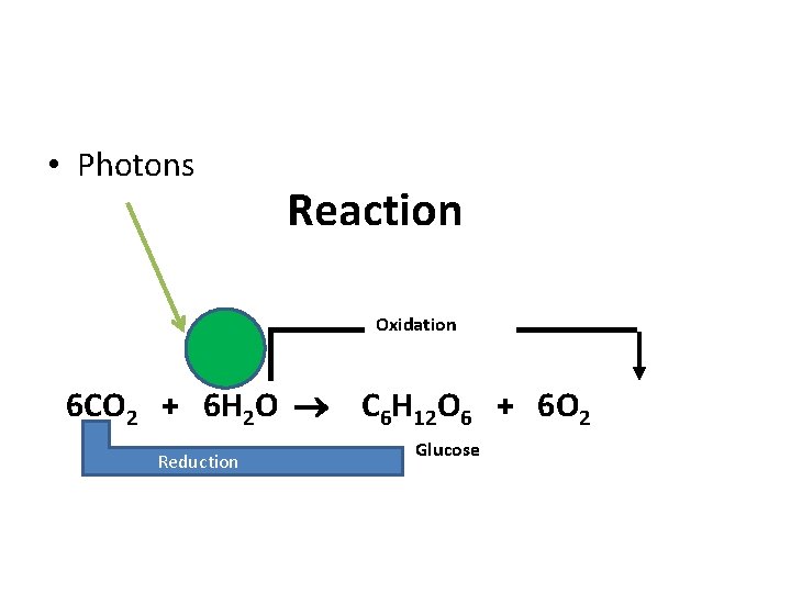  • Photons Reaction Oxidation 6 CO 2 + 6 H 2 O C