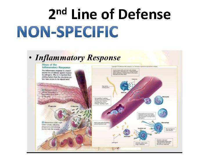 nd 2 Line of Defense 