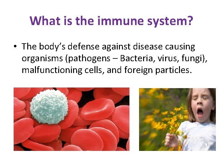 What is the immune system? • The body’s defense against disease causing organisms (pathogens