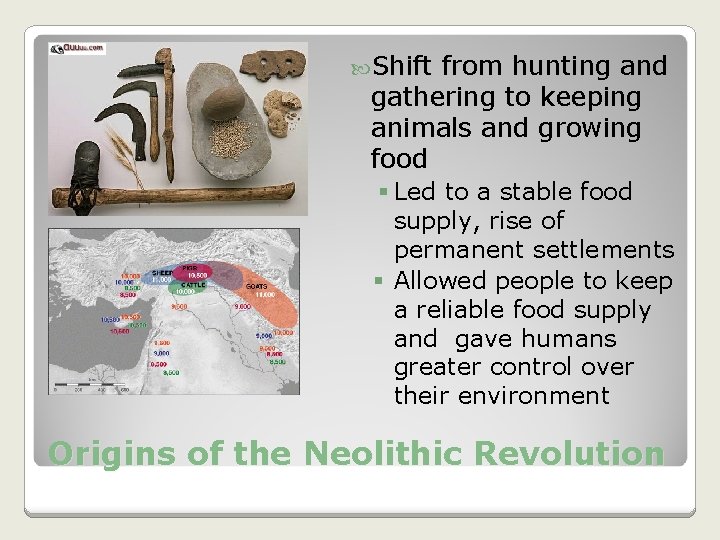 Shift from hunting and gathering to keeping animals and growing food § Led Shift from hunting and gathering to keeping animals and growing food § Led
