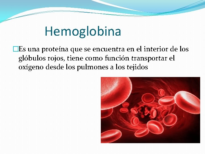 Hemoglobina �Es una proteína que se encuentra en el interior de los glóbulos rojos,