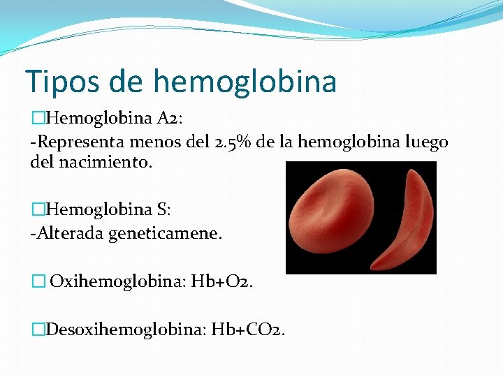 Tipos de hemoglobina �Hemoglobina A 2: -Representa menos del 2. 5% de la hemoglobina