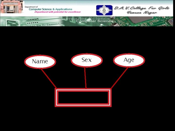 For example: Name Sex Age 