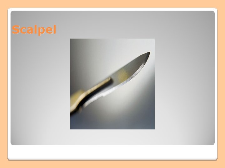 Scalpel Scalpel