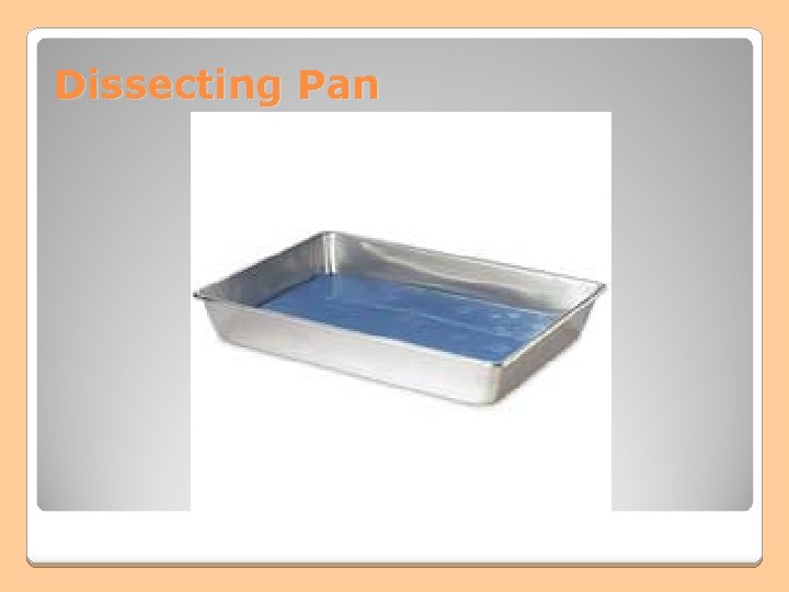 Dissecting Pan Dissecting Pan