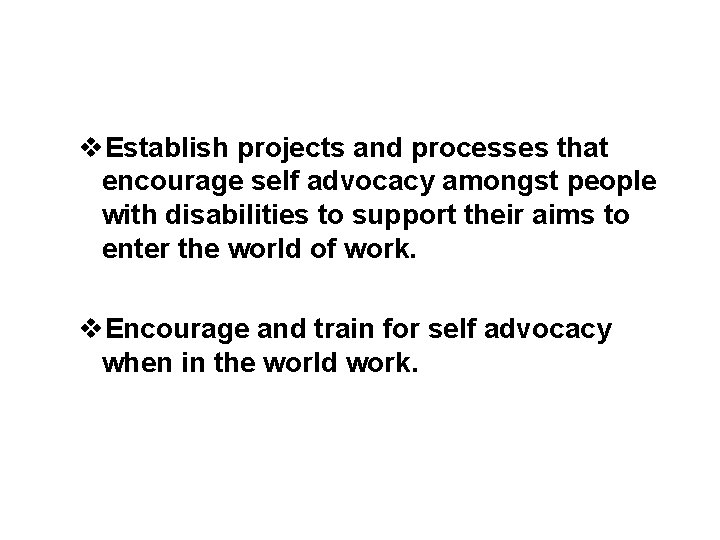 v. Establish projects and processes that encourage self advocacy amongst people with disabilities to