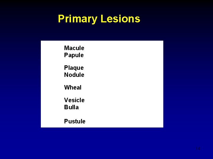 Primary Lesions Macule Papule Plaque Nodule Wheal Vesicle Bulla Pustule 14 