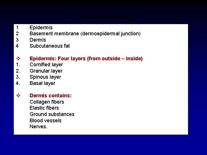Skin Anatomy 1 2 3 4 Epidermis Basement membrane (dermoepidermal junction) Dermis Subcutaneous fat