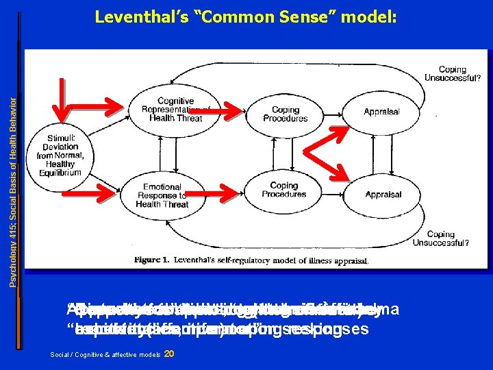Psychology 415; Social Basis of Health Behavior Leventhal’s “Common Sense” model: Approach “Disturbance” Normative