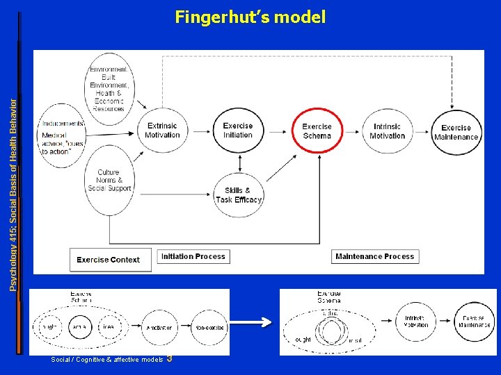 Psychology 415; Social Basis of Health Behavior Fingerhut’s model Social / Cognitive & affective