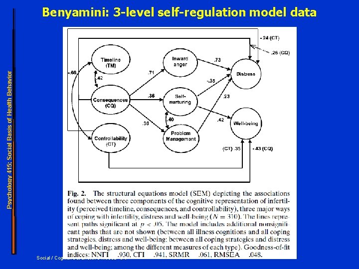 Psychology 415; Social Basis of Health Behavior Benyamini: 3 -level self-regulation model data Social