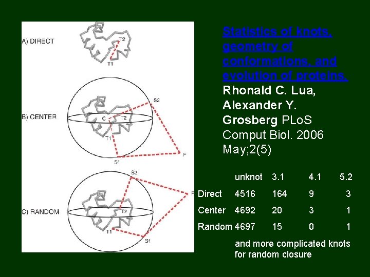 Statistics of knots, geometry of conformations, and evolution of proteins. Rhonald C. Lua, Alexander