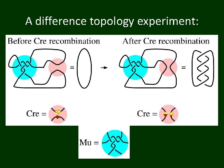 A difference topology experiment: 
