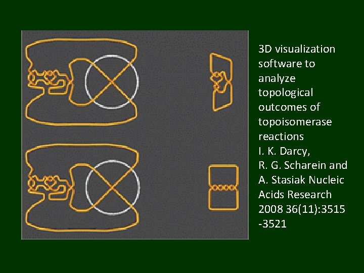 3 D visualization software to analyze topological outcomes of topoisomerase reactions I. K. Darcy,