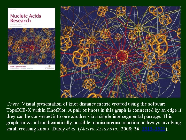 Cover: Visual presentation of knot distance metric created using the software Topo. ICE-X within