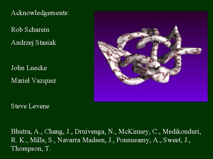 Acknowledgements: Rob Scharein Andrzej Stasiak John Luecke Mariel Vazquez Steve Levene Bhutra, A. ,