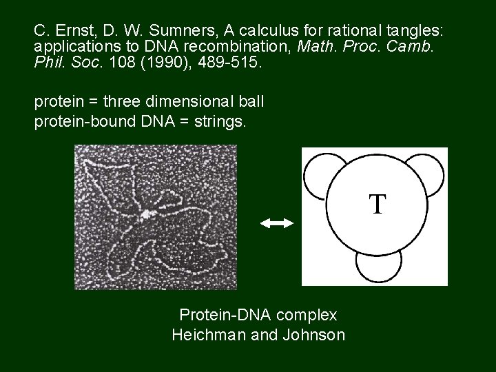 C. Ernst, D. W. Sumners, A calculus for rational tangles: applications to DNA recombination,