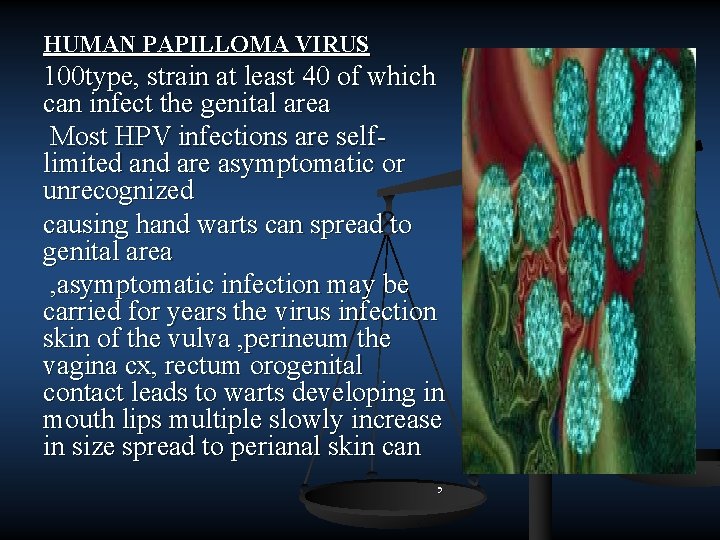 HUMAN PAPILLOMA VIRUS 100 type, strain at least 40 of which can infect the