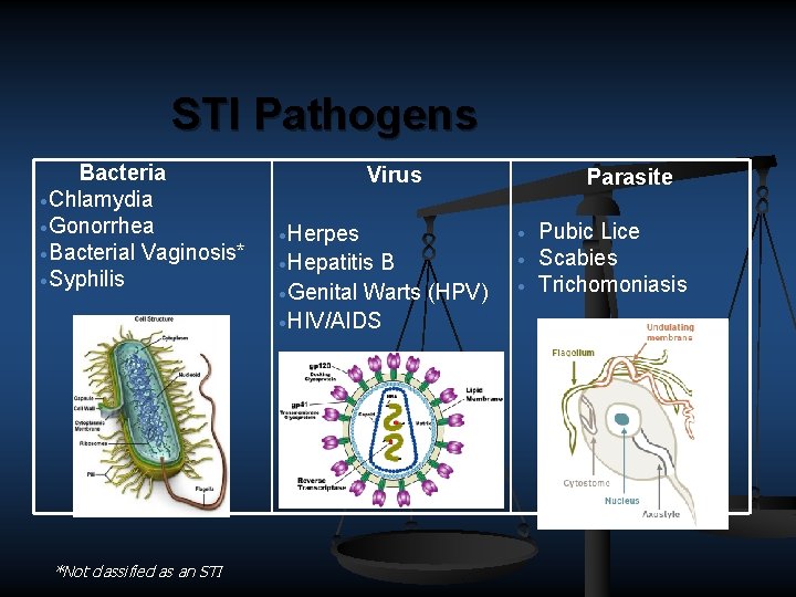 STI Pathogens Bacteria ·Chlamydia ·Gonorrhea ·Bacterial Vaginosis* ·Syphilis *Not classified as an STI Virus