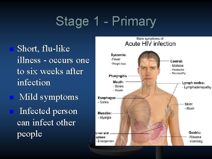 Stage 1 - Primary n n n Short, flu like illness occurs one to