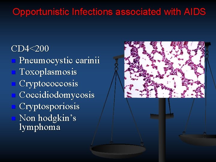 Opportunistic Infections associated with AIDS CD 4<200 n Pneumocystic carinii n Toxoplasmosis n Cryptococcosis