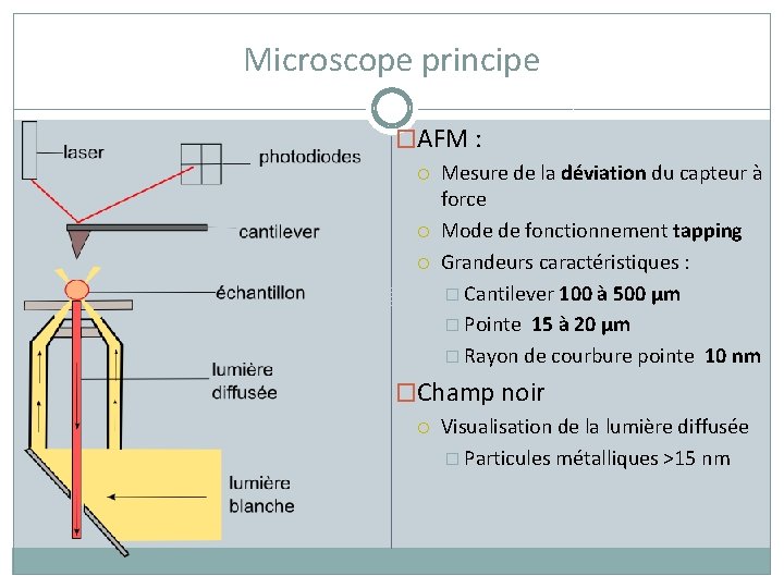 Microscope principe �AFM : Mesure de la déviation du capteur à force Mode de