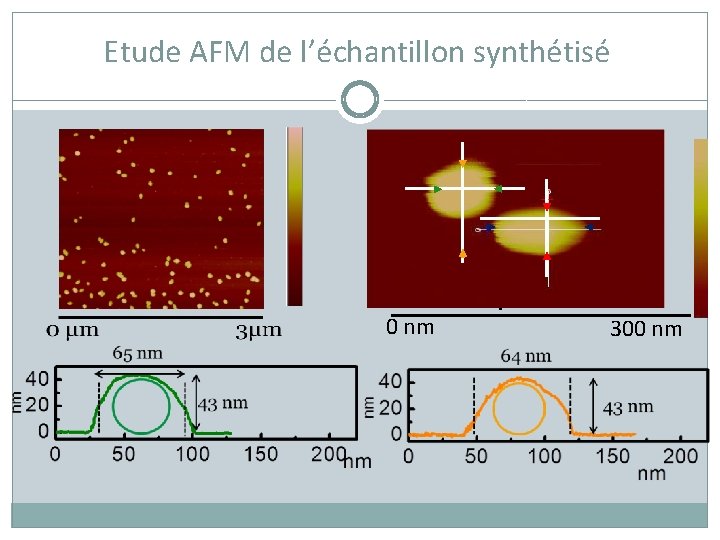 Etude AFM de l’échantillon synthétisé 0 nm 300 nm 