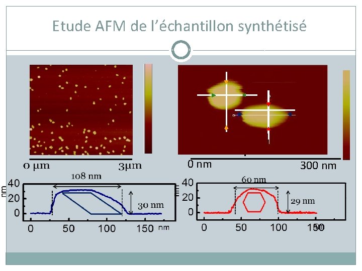 Etude AFM de l’échantillon synthétisé 0 nm 300 nm 