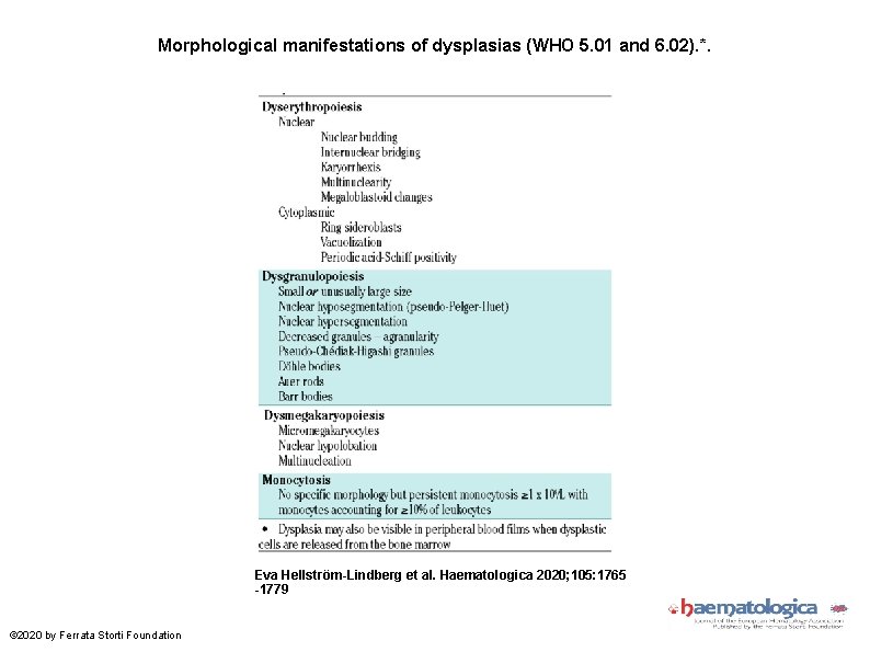 Morphological manifestations of dysplasias (WHO 5. 01 and 6. 02). *. Eva Hellström-Lindberg et
