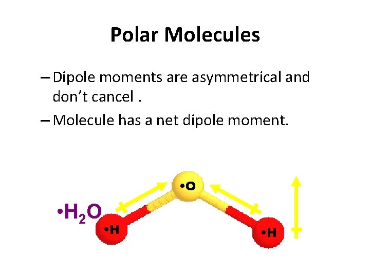 Polar Molecules – Dipole moments are asymmetrical and don’t cancel. – Molecule has a