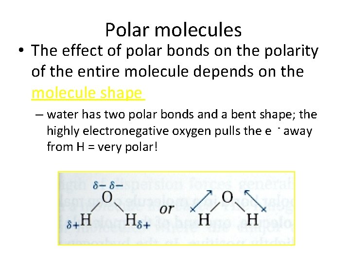 Polar molecules • The effect of polar bonds on the polarity of the entire