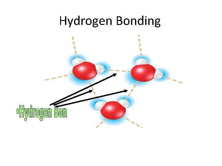 Hydrogen Bonding 