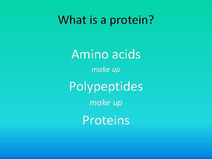 What is a protein? Amino acids make up Polypeptides make up Proteins 