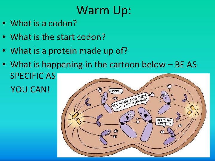  • • Warm Up: What is a codon? What is the start codon?