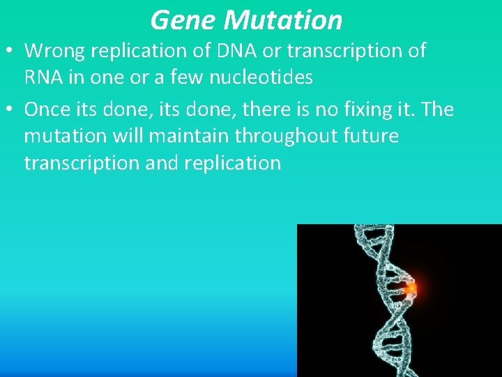 Gene Mutation • Wrong replication of DNA or transcription of RNA in one or