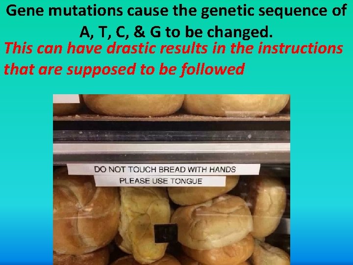 Gene mutations cause the genetic sequence of A, T, C, & G to be