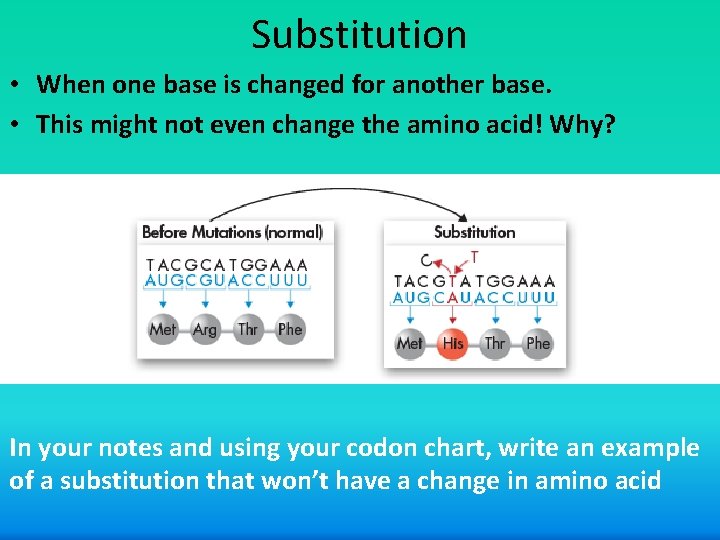 Substitution • When one base is changed for another base. • This might not